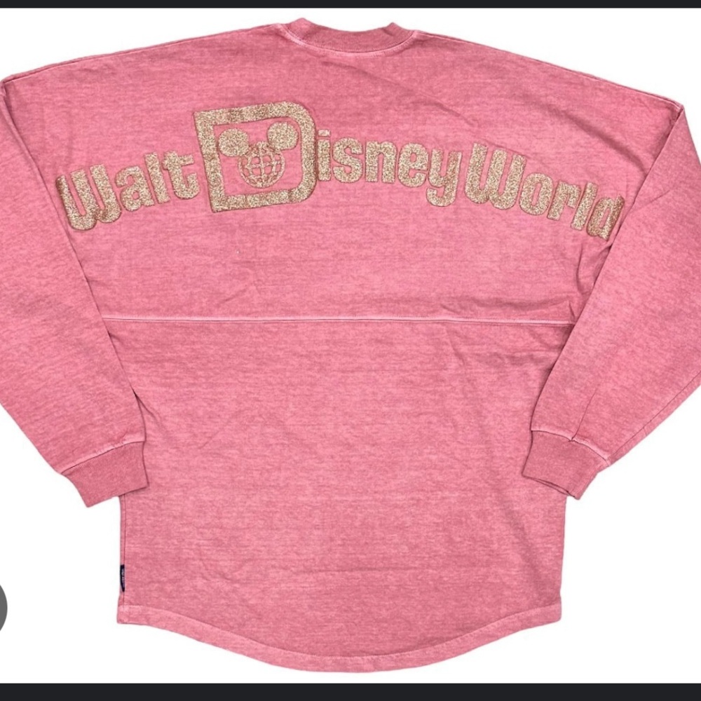 Walt Disneyworld Spirit Jersey
